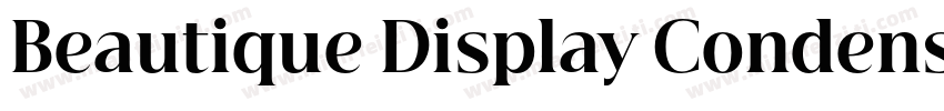 Beautique Display Condensed Medium字体转换